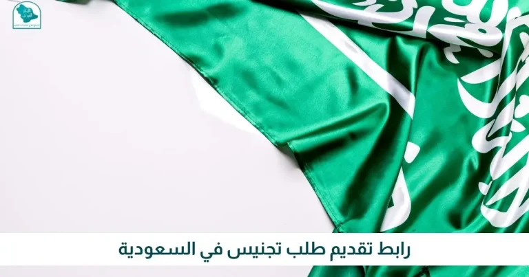 رابط تقديم طلب تجنيس في السعودية - الانجاز الفوري